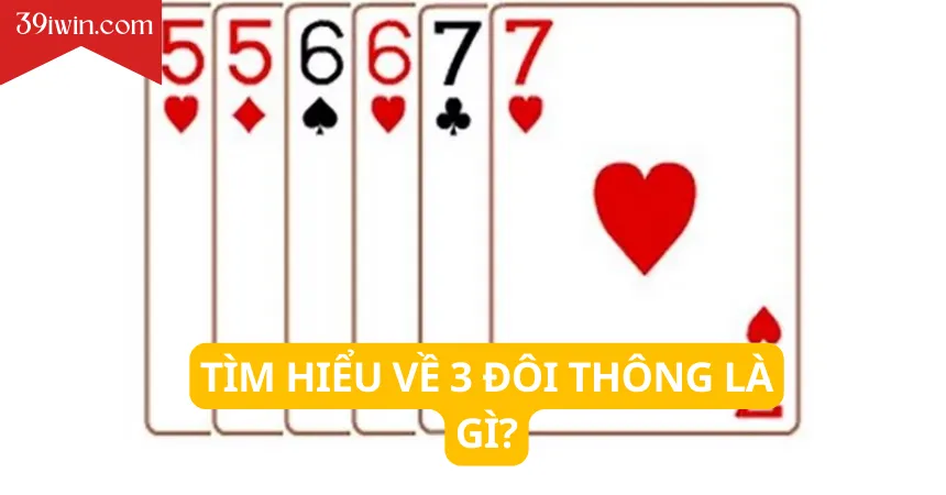 Tìm hiểu về 3 đôi thông là gì?